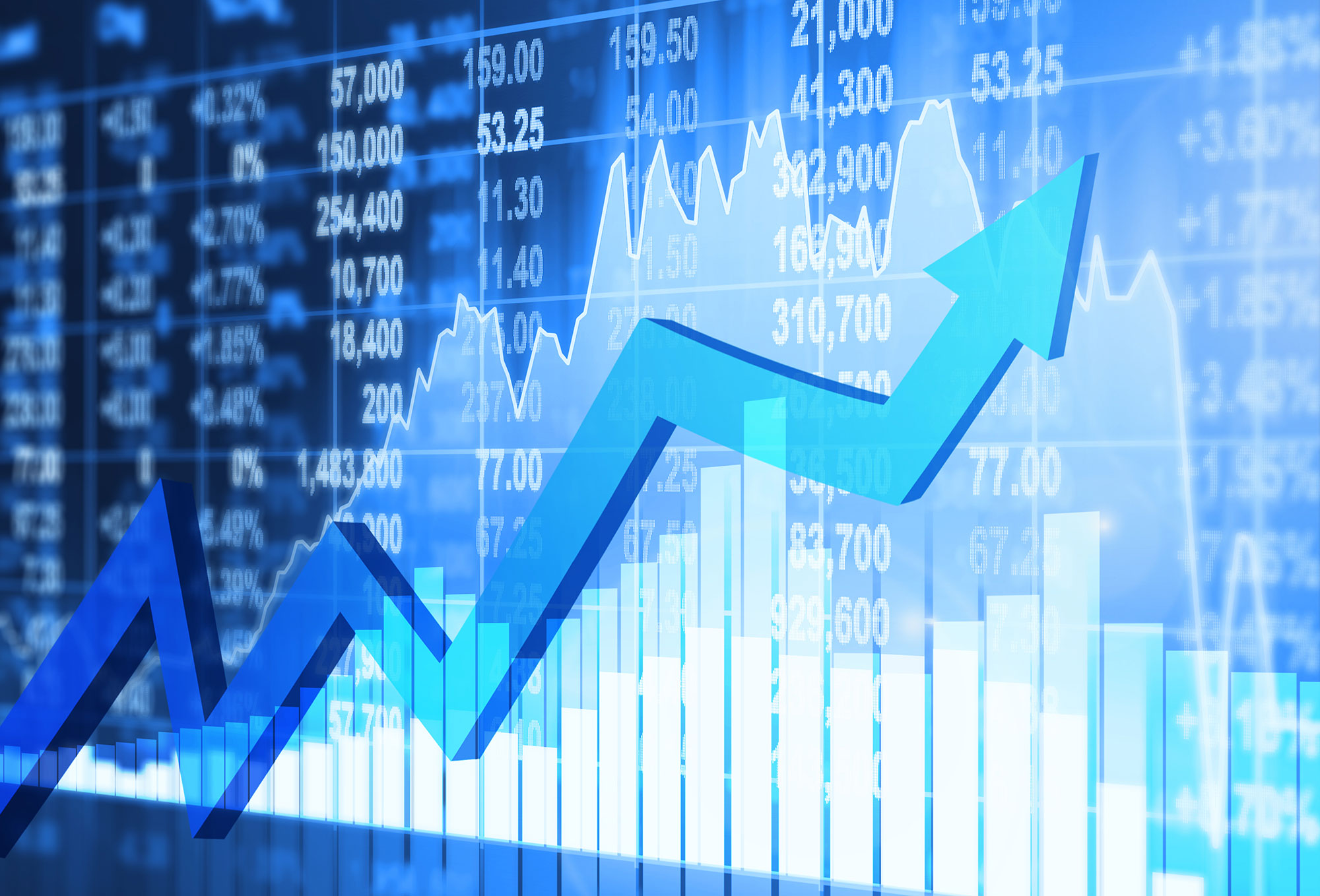 توصيات الاسهم السعودية هوامير
